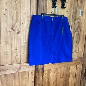 Women’s skirt size 16 color blue